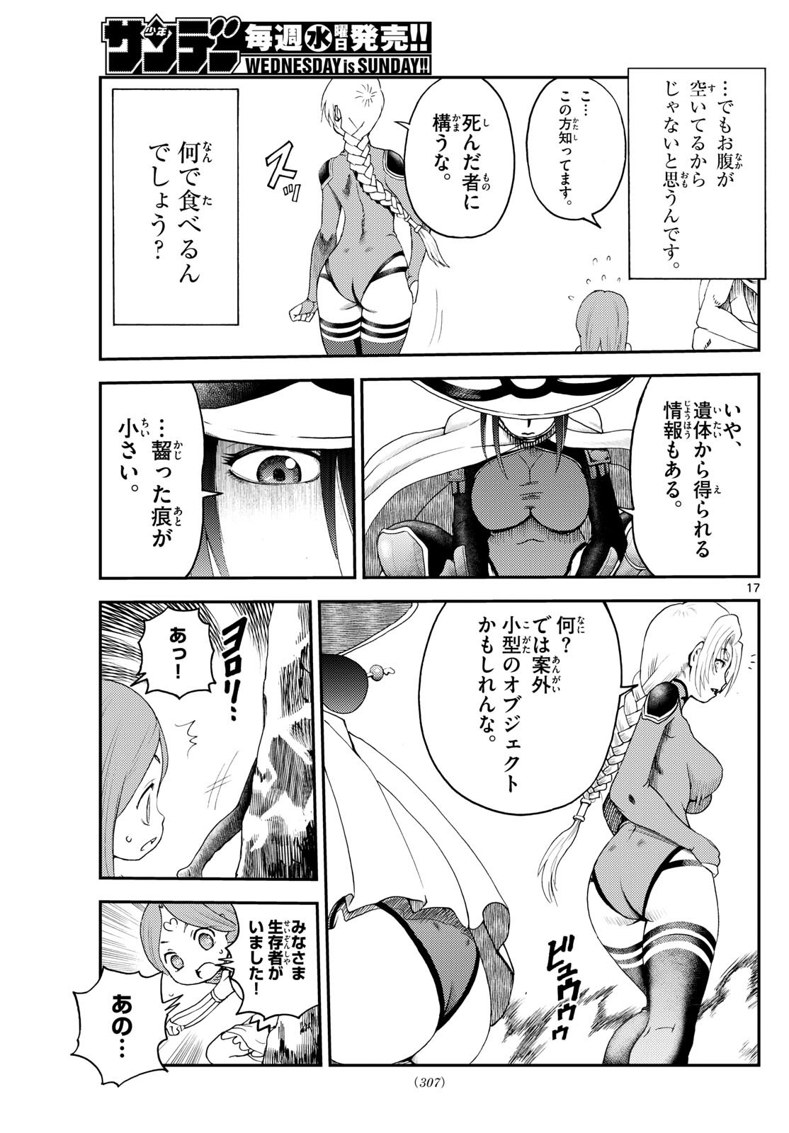 Page 17