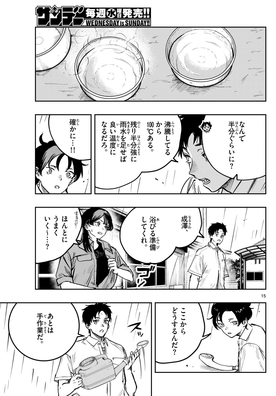 Page 15