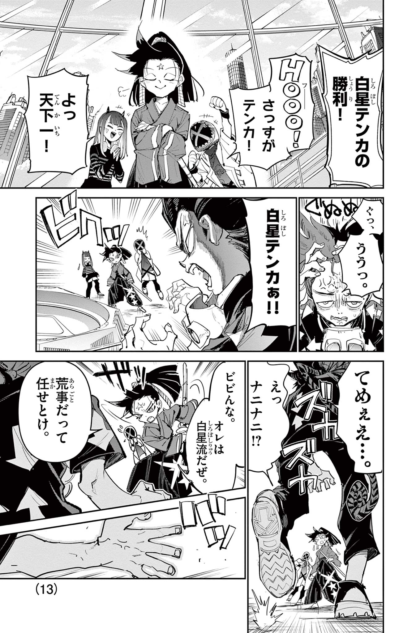 Page 13