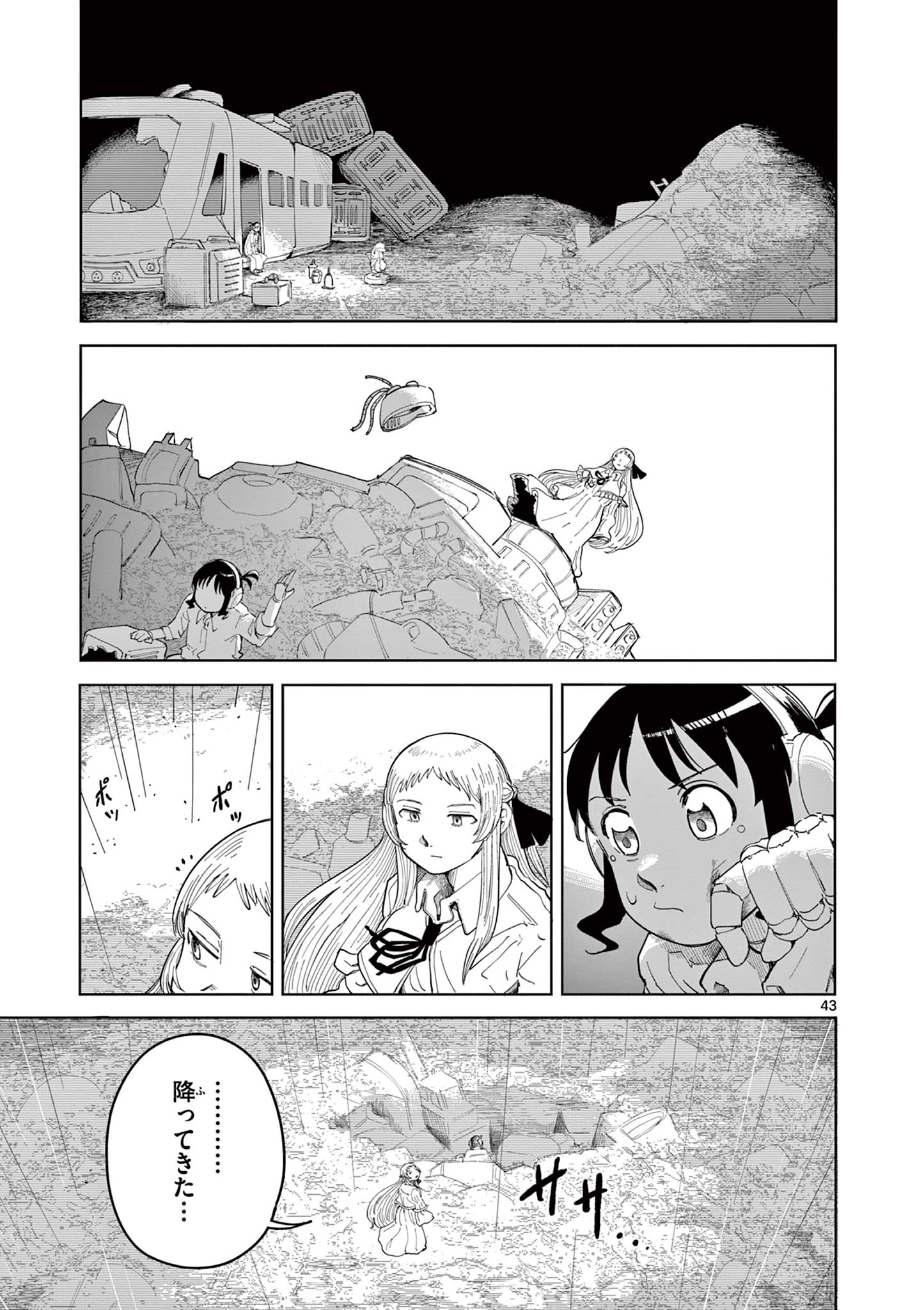 Page 43