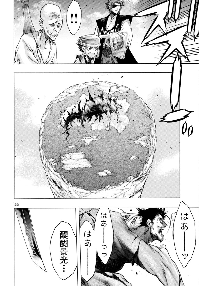 Page 22