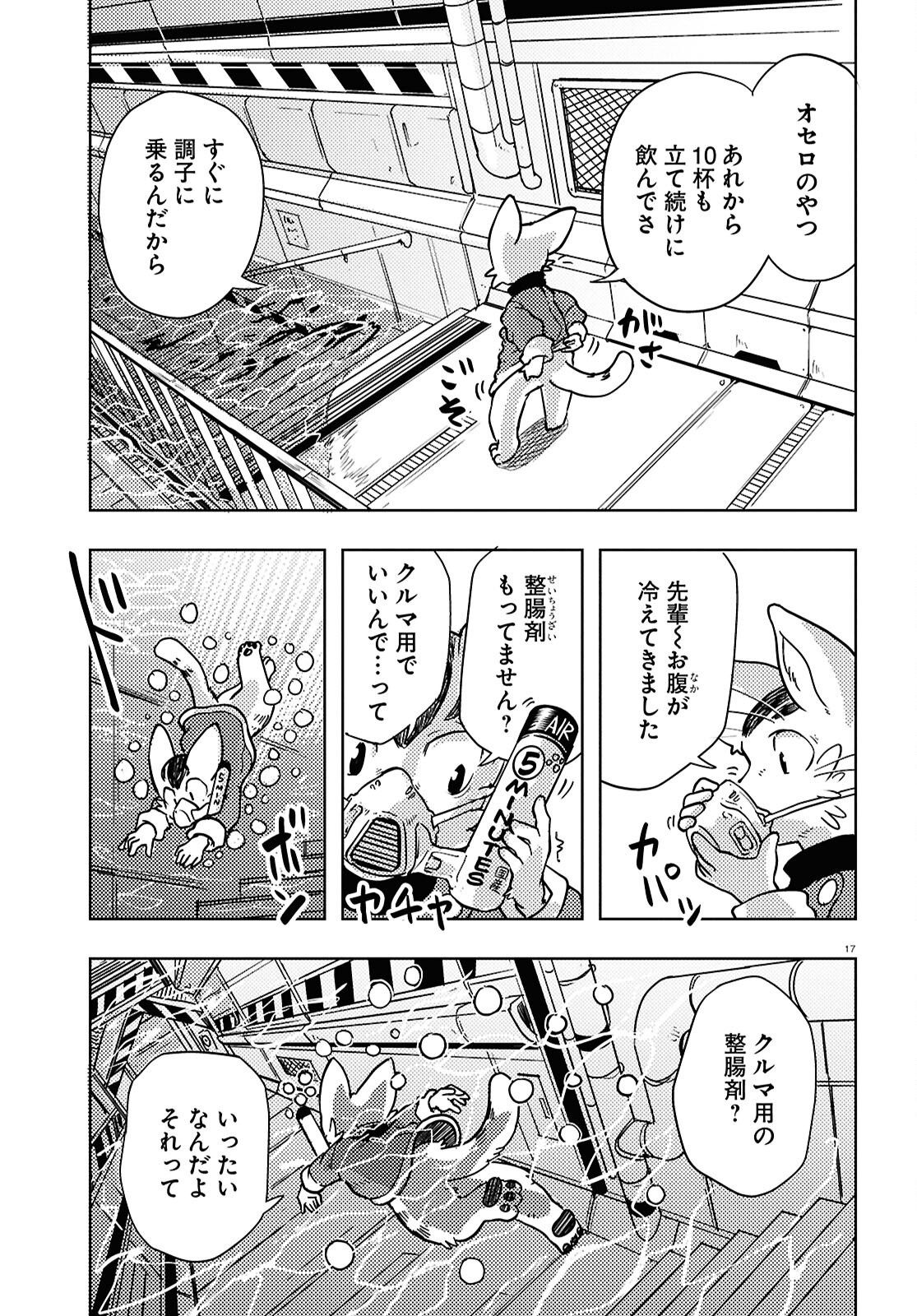 Page 17