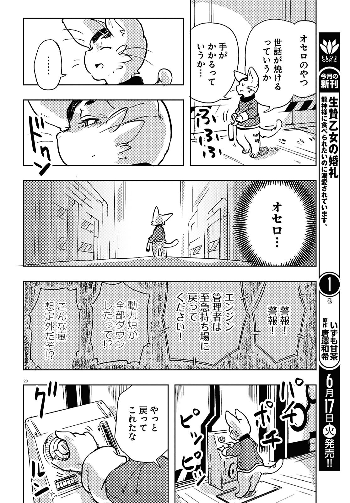 Page 20