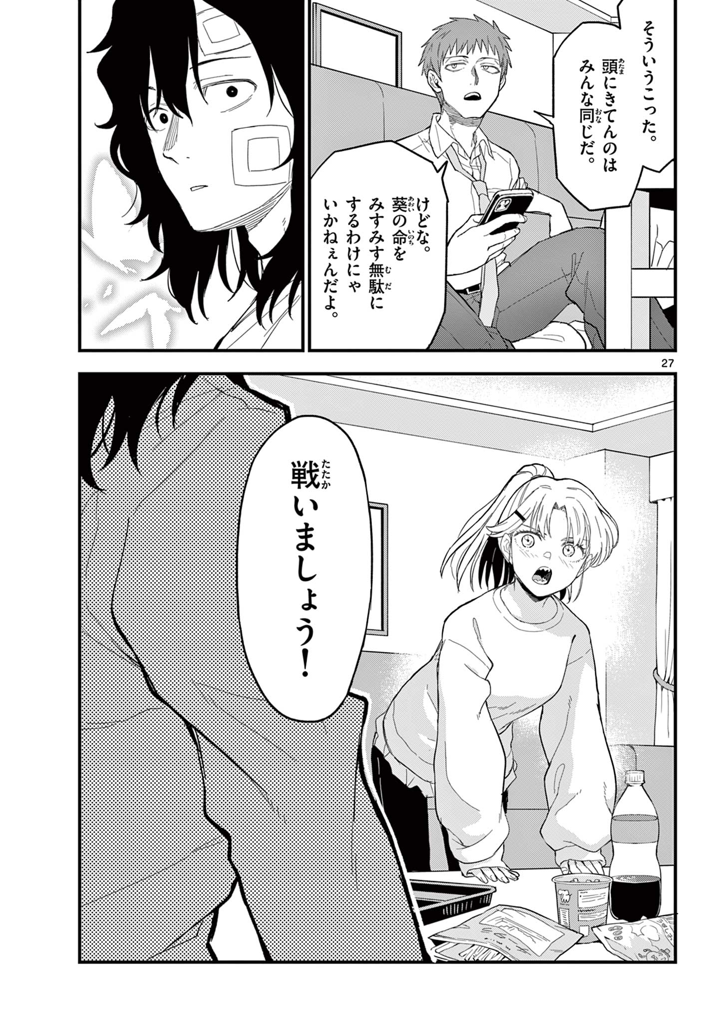 Page 27