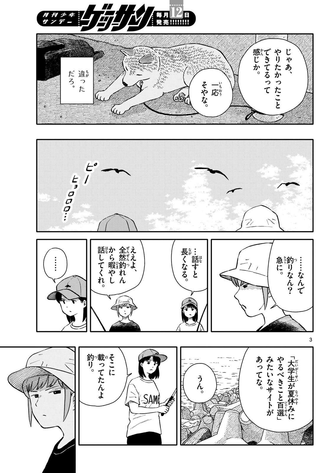 Page 3