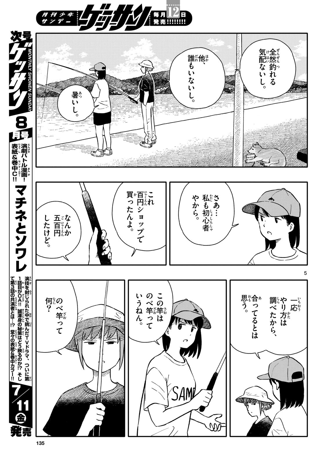 Page 5