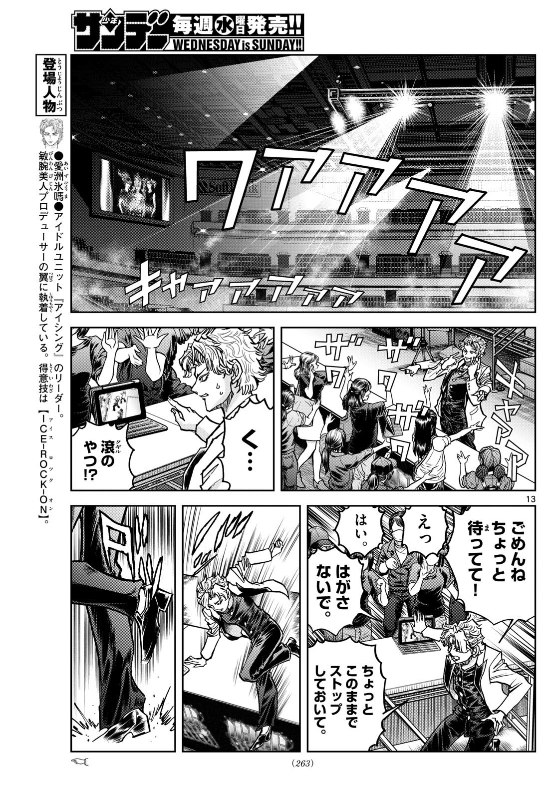 Page 13
