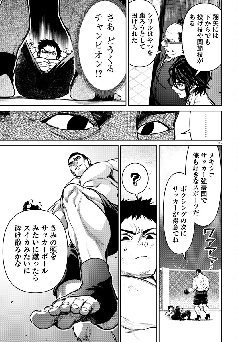 Page 15