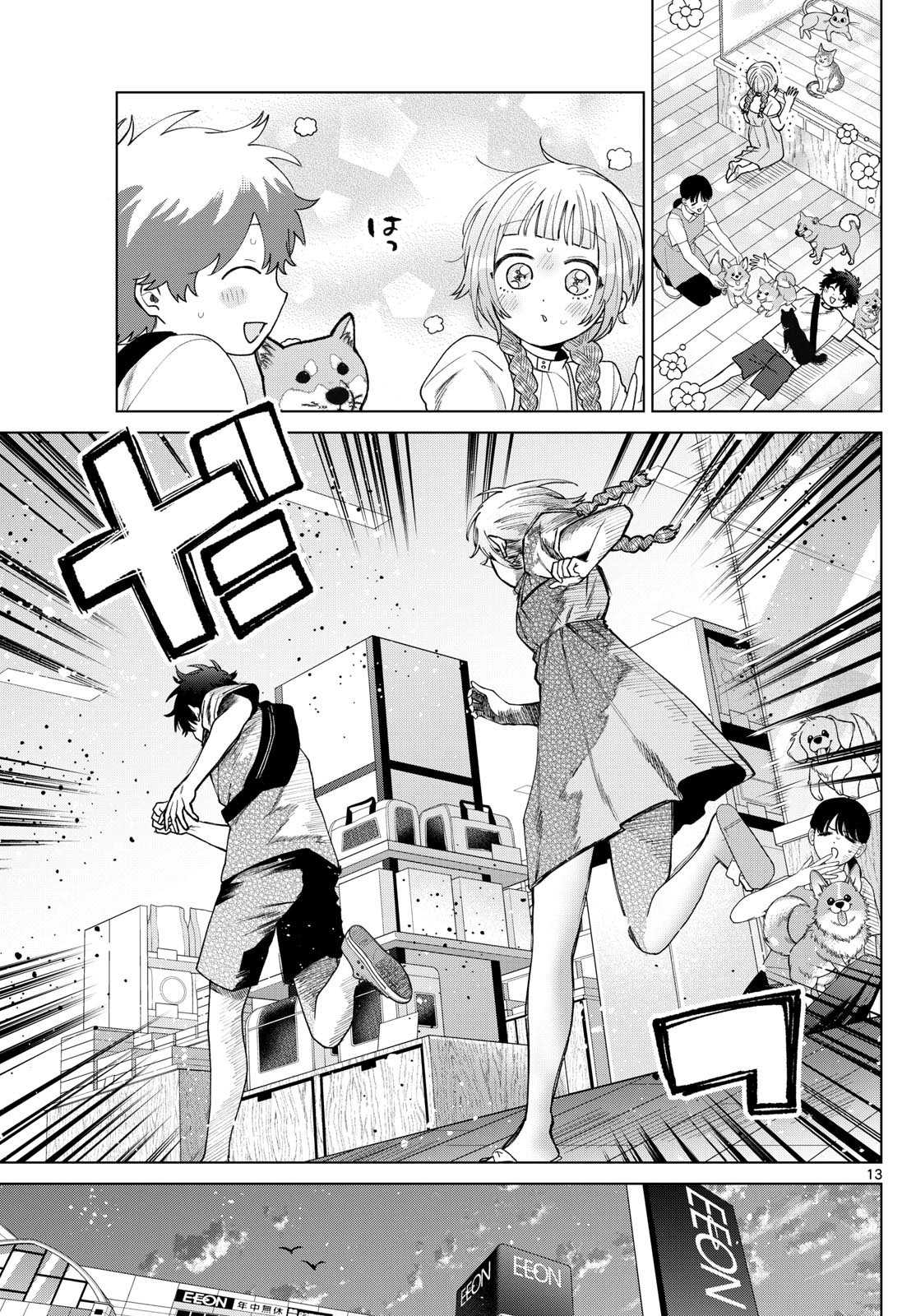 Page 13