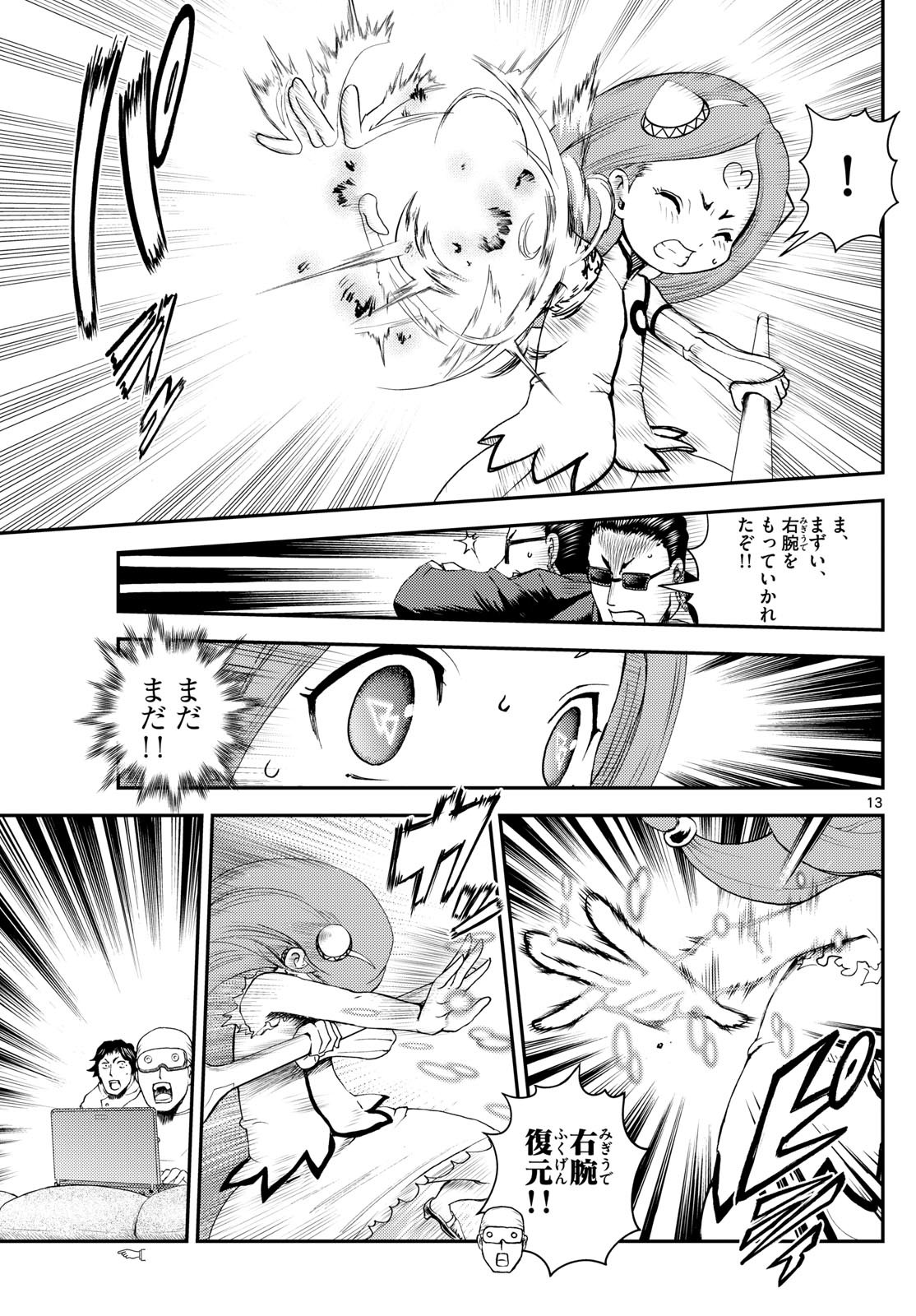 Page 13