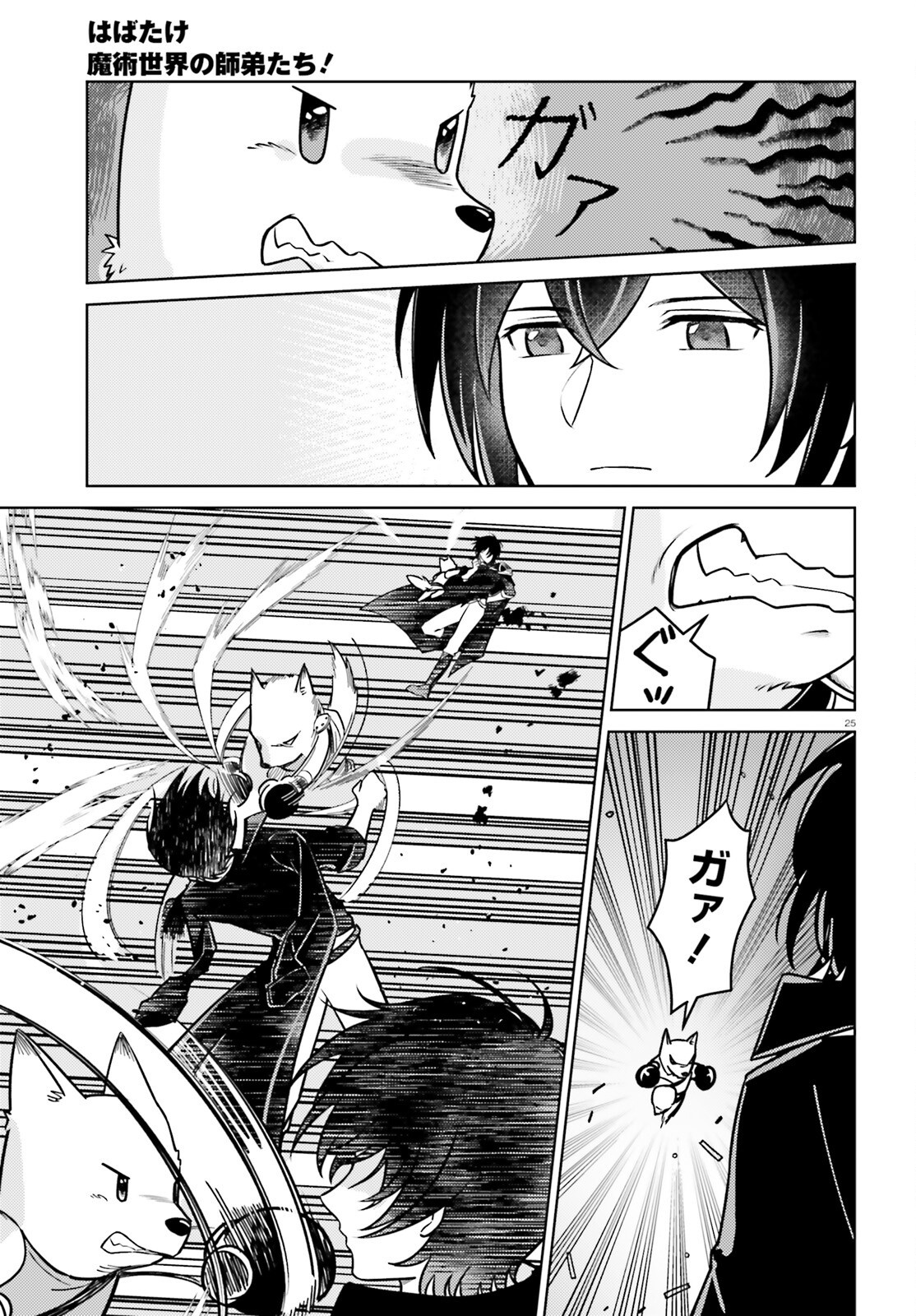 Page 25