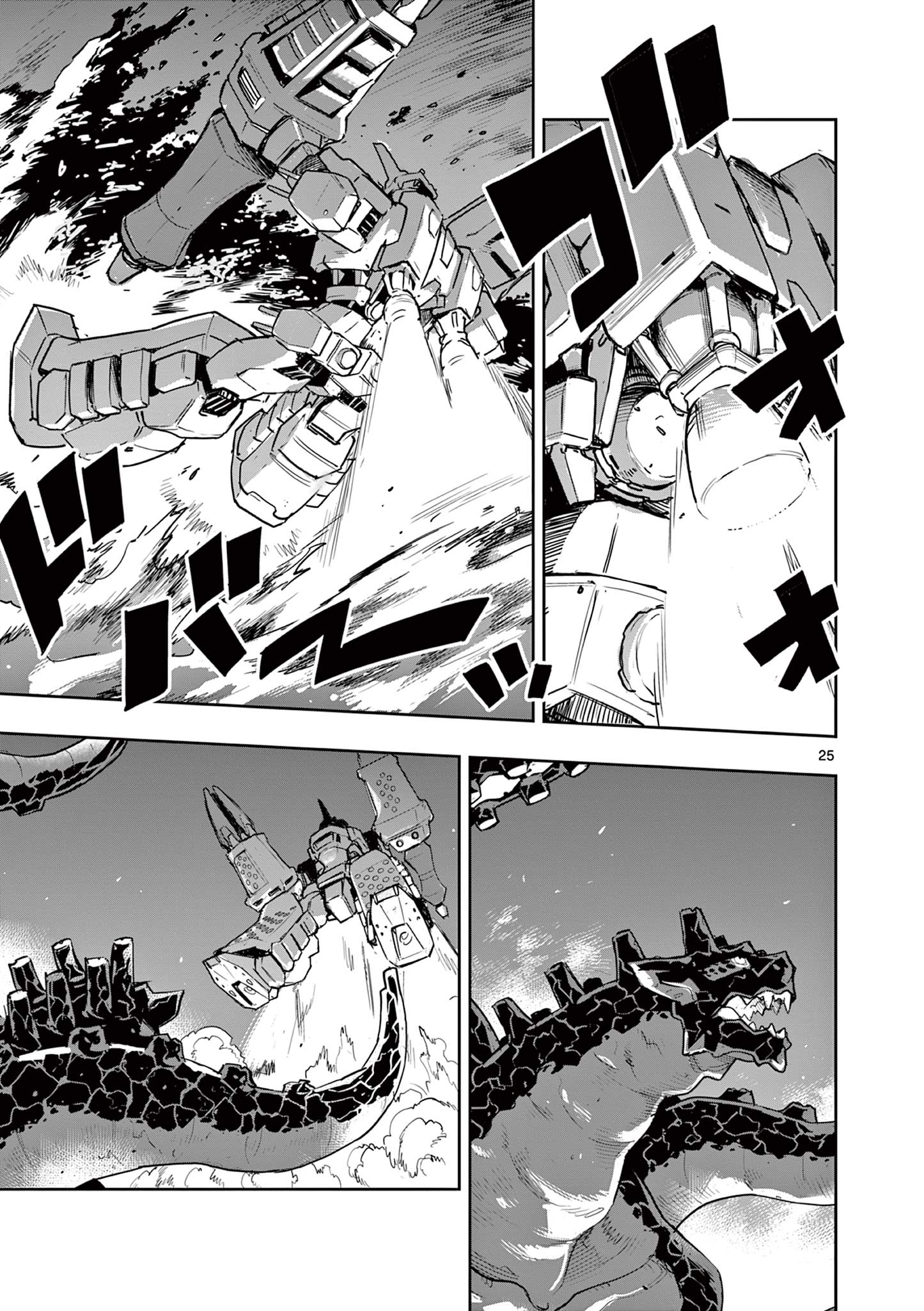 Page 25