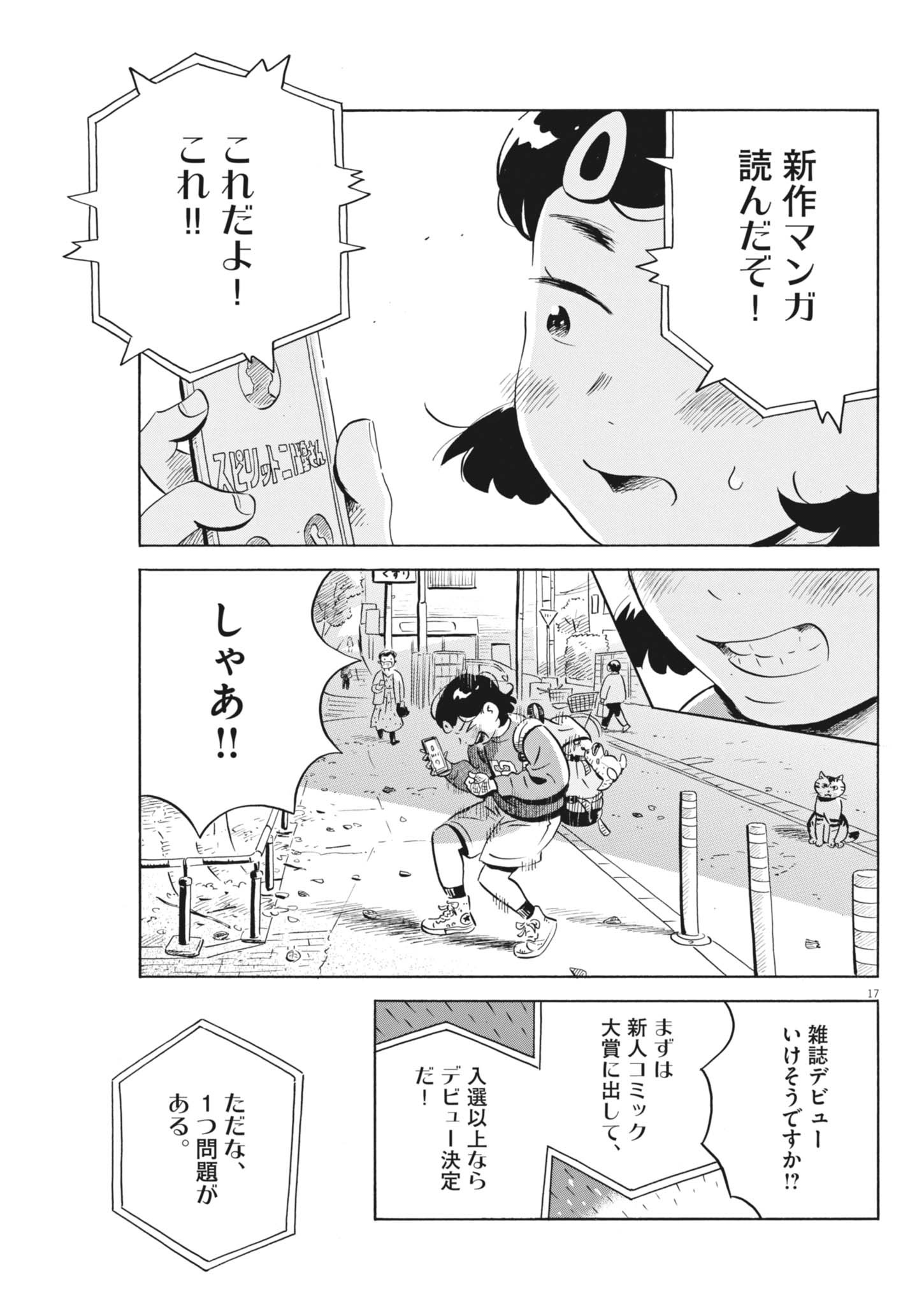Page 17