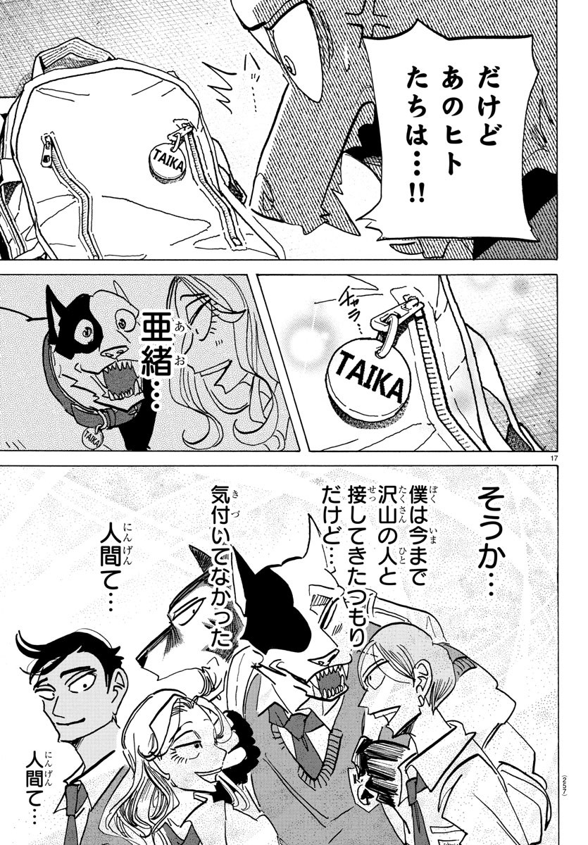 Page 17