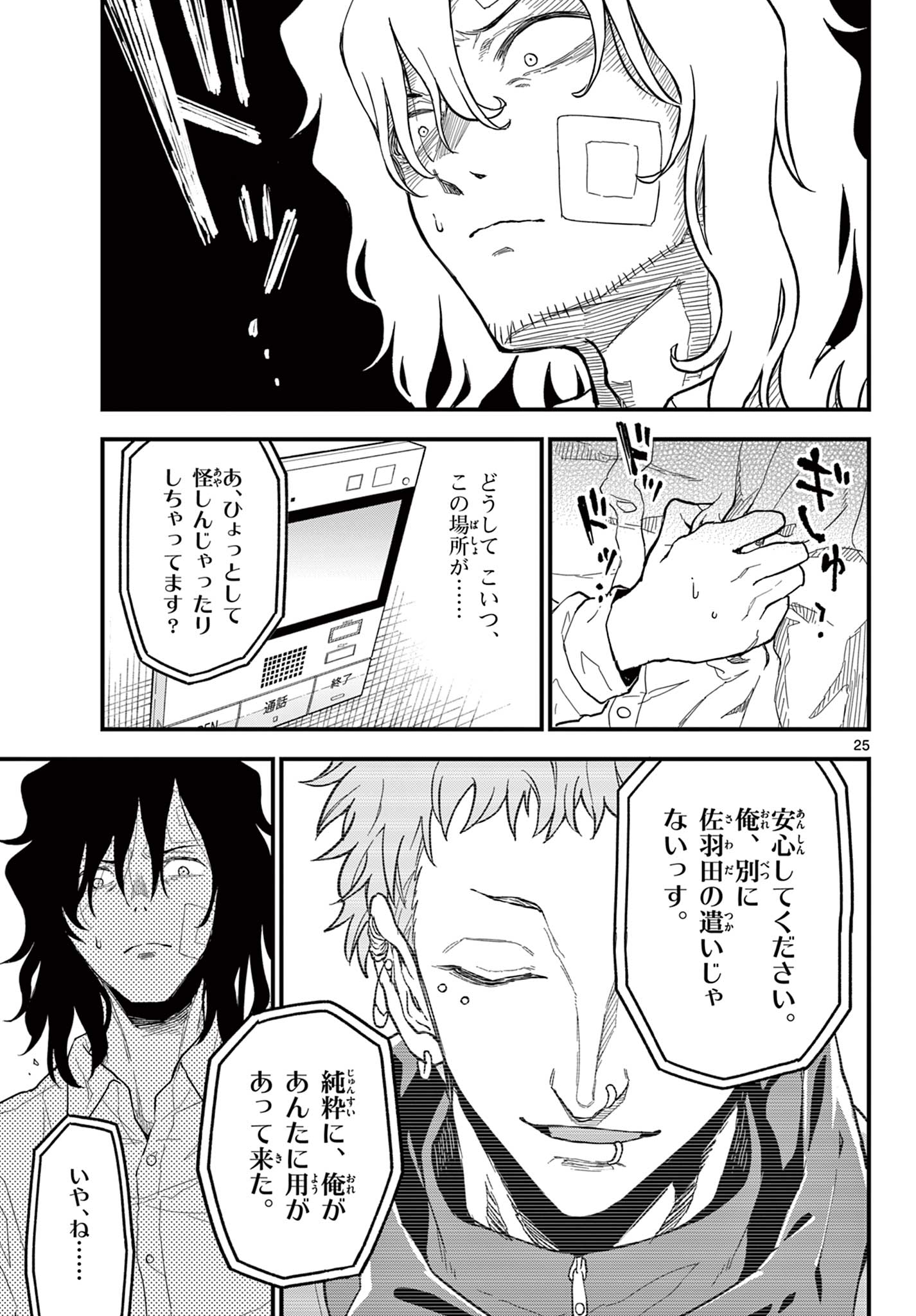 Page 25