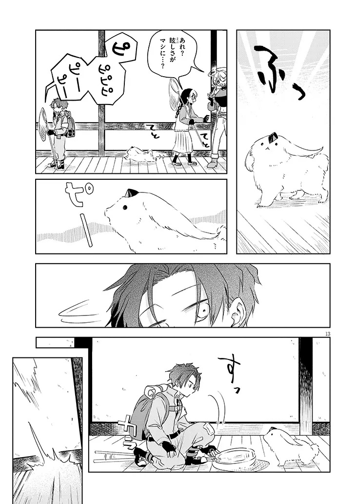 Page 13