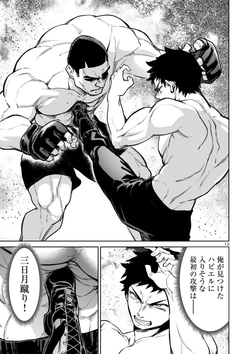 Page 13