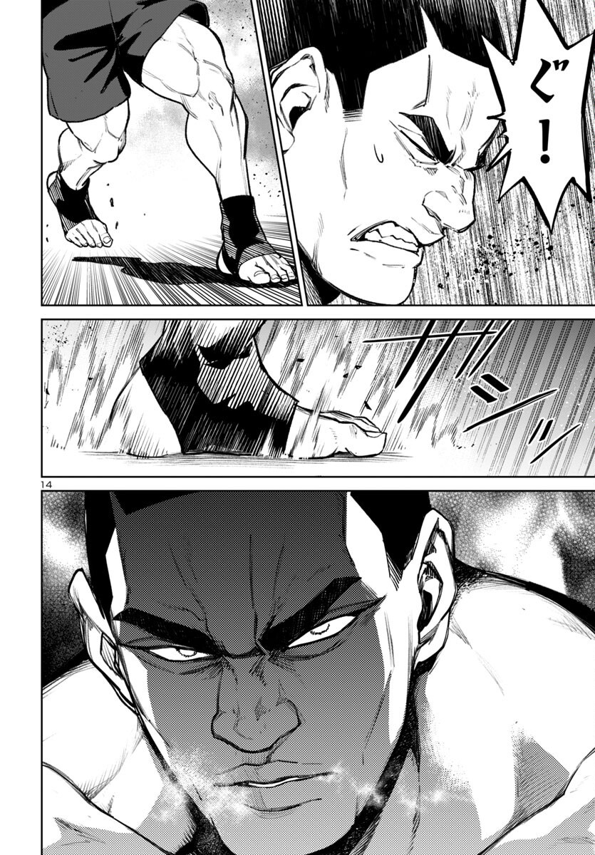 Page 14