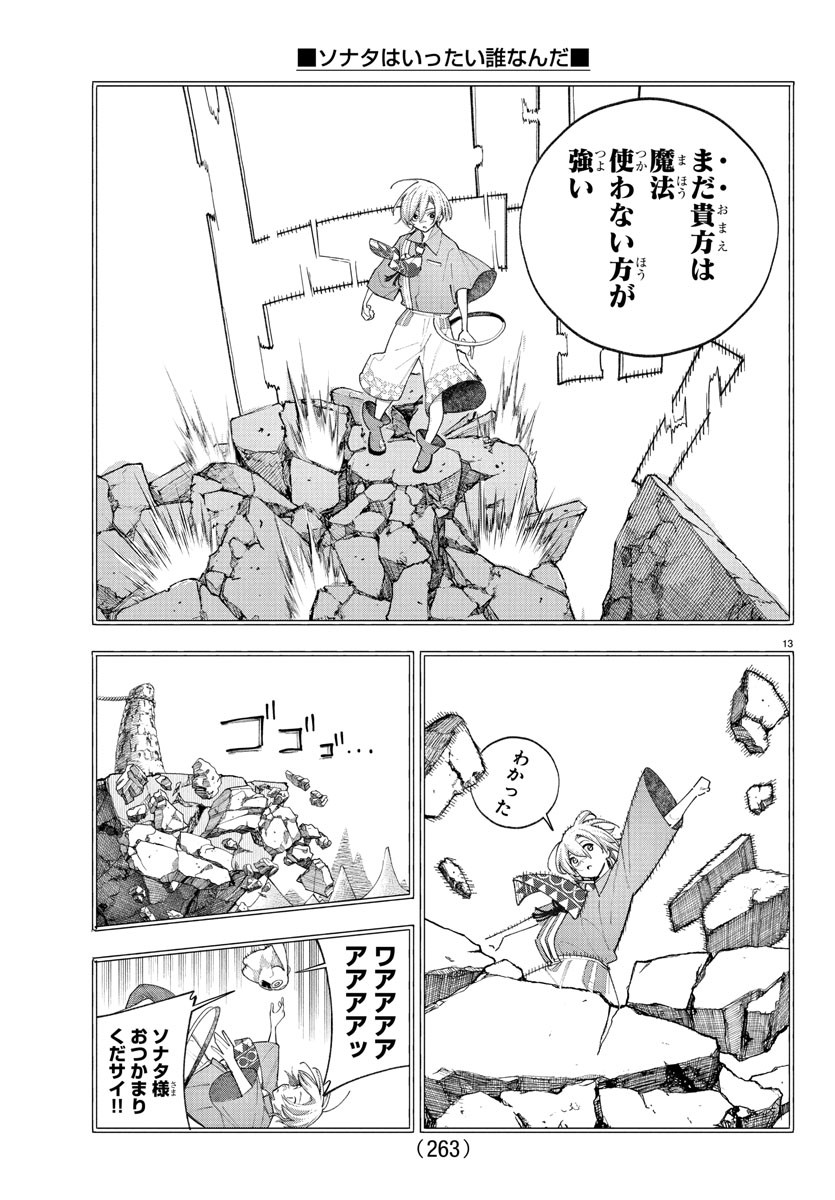 Page 13