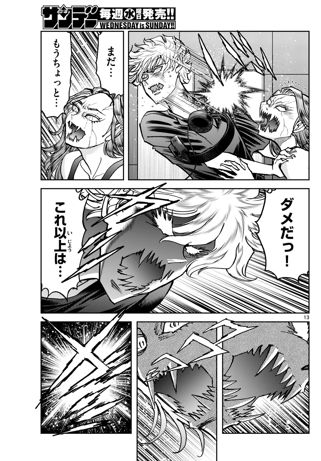 Page 13