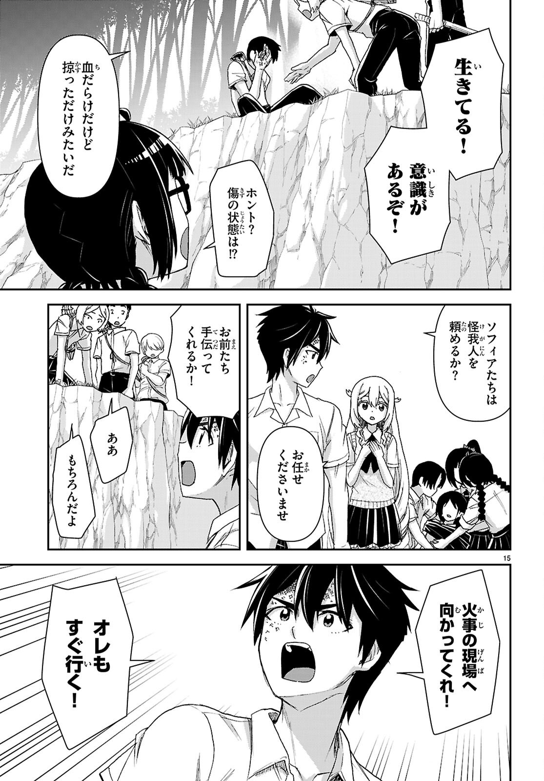 Page 15