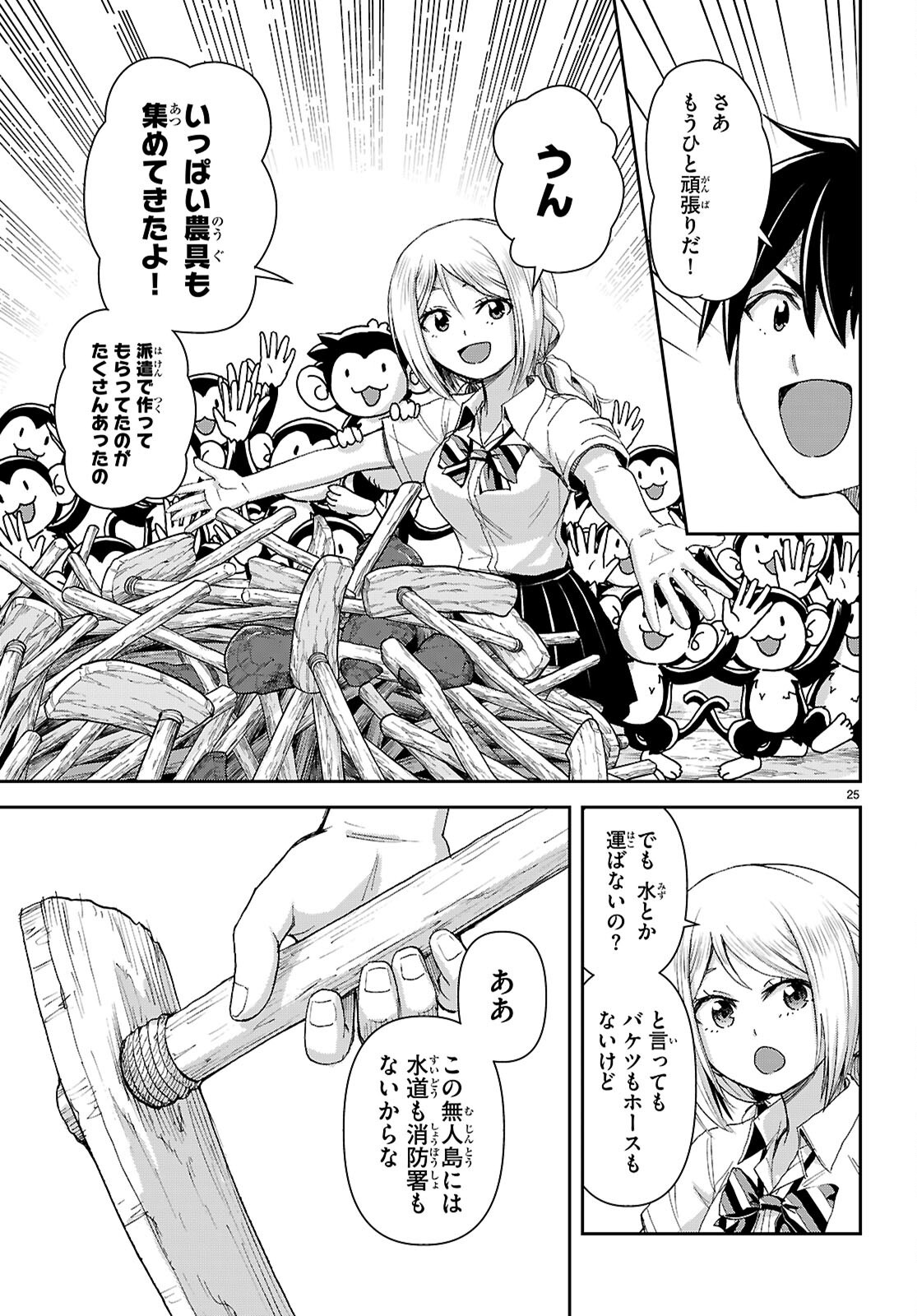 Page 25