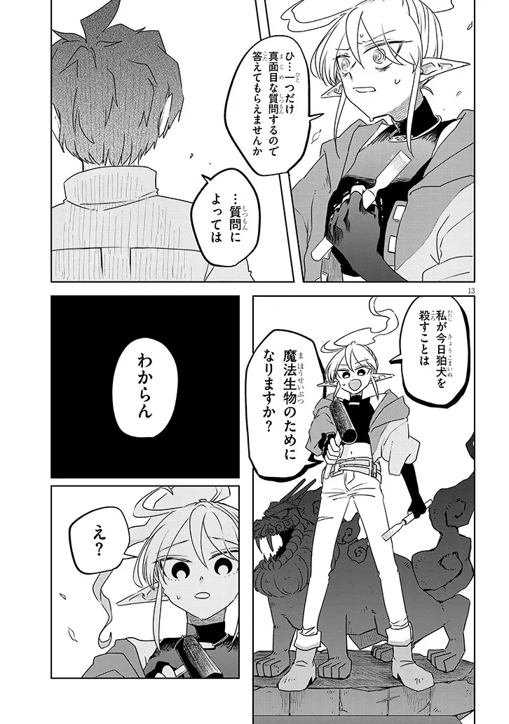 Page 13