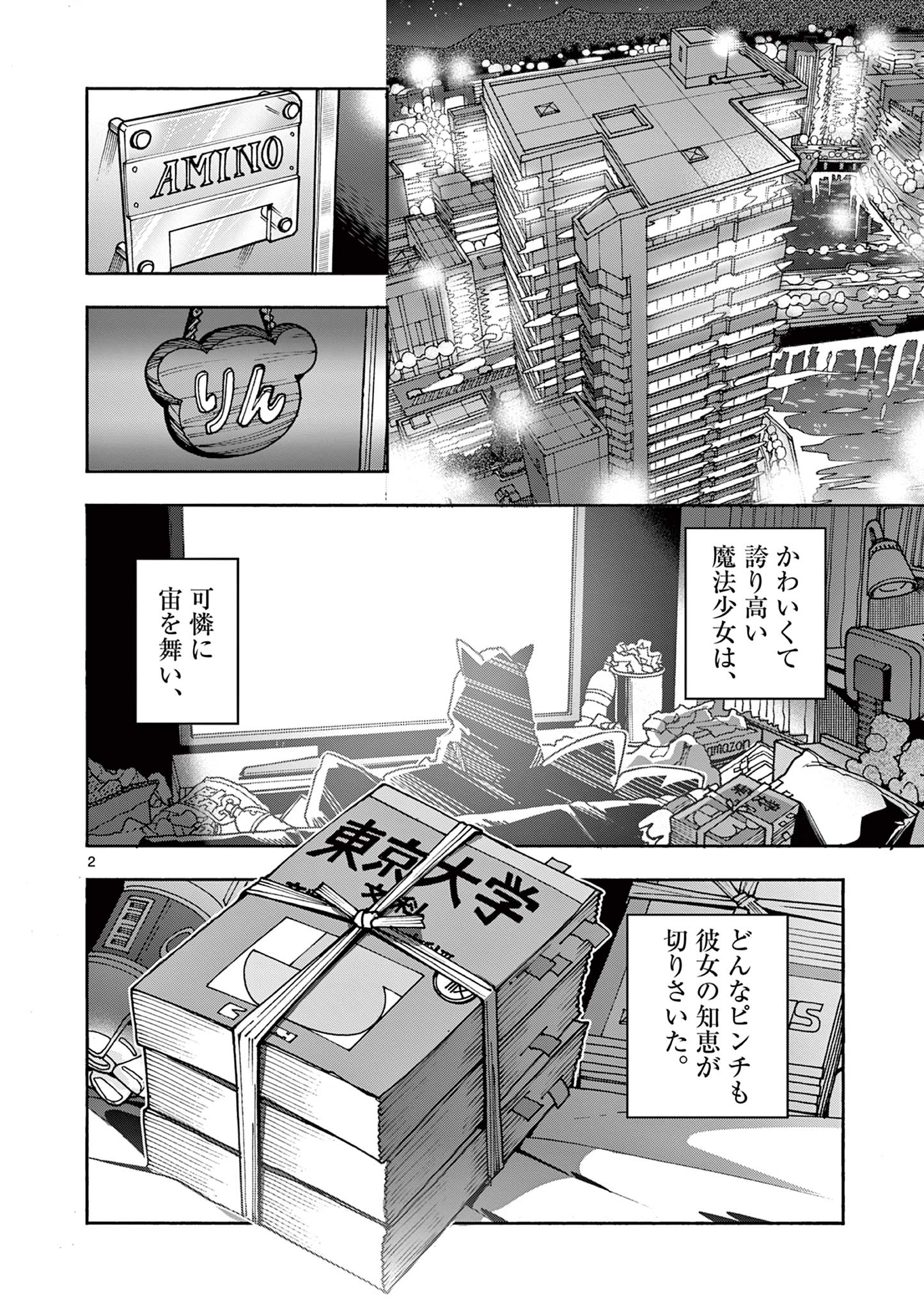 Page 2