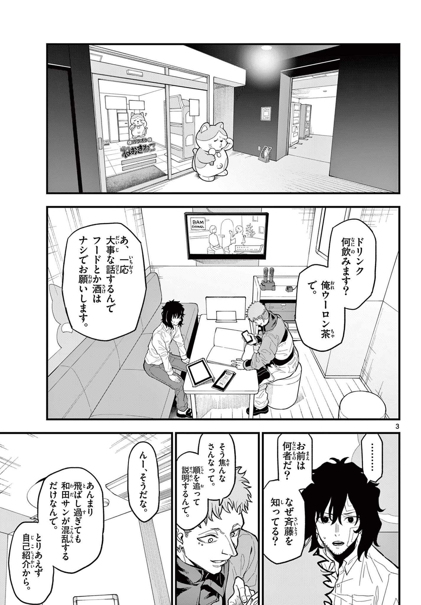 Page 3