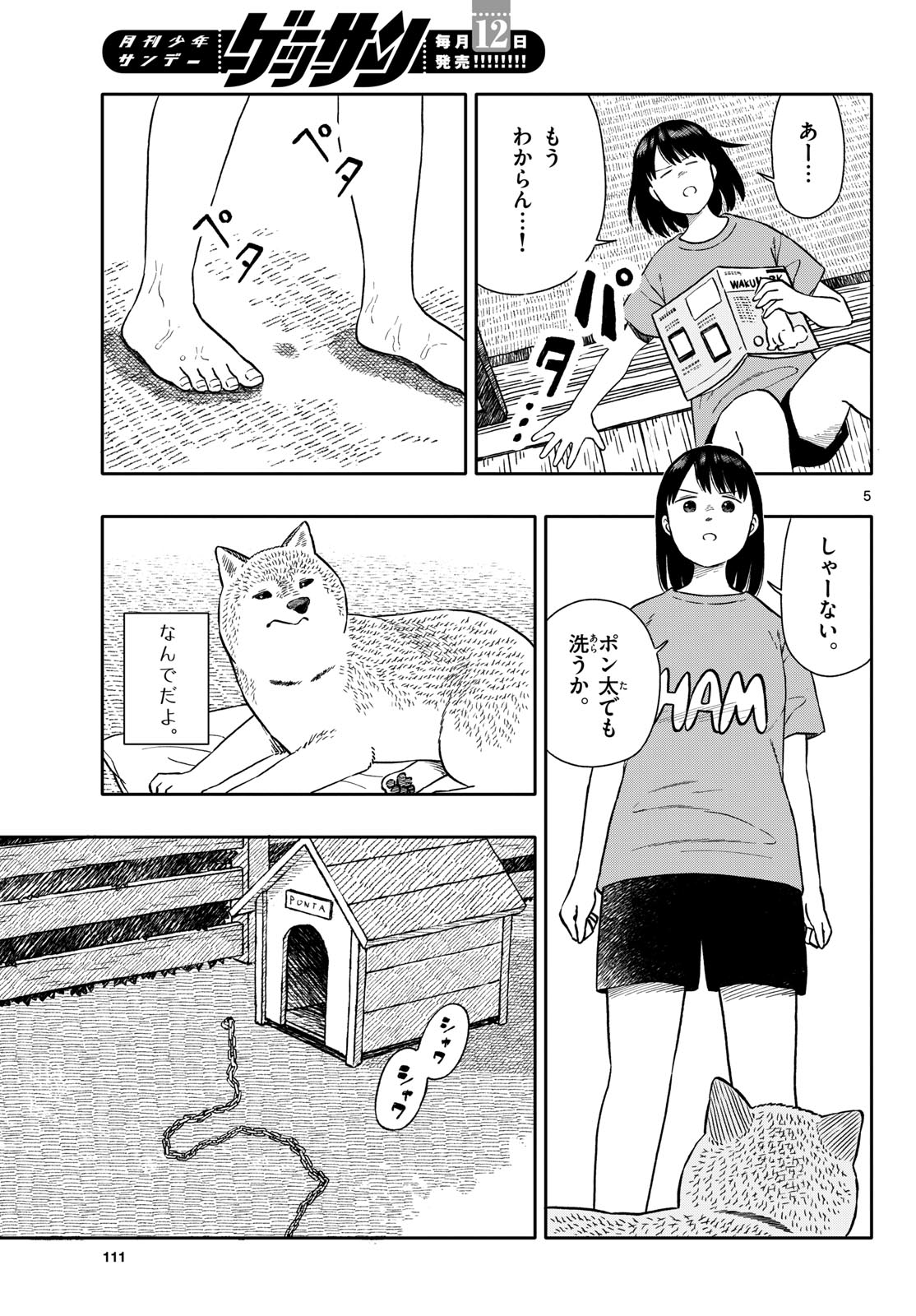 Page 5