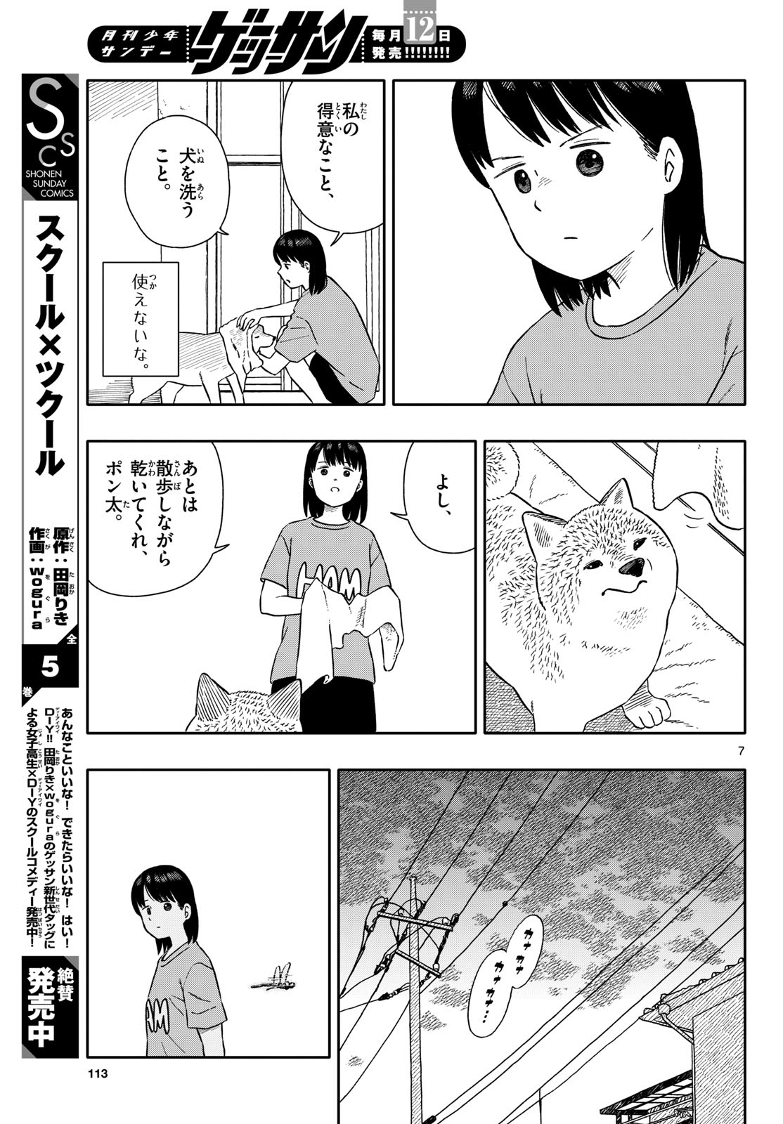 Page 7