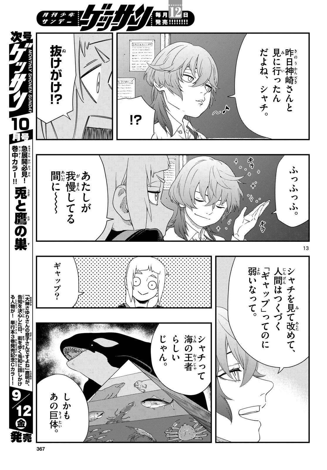 Page 13