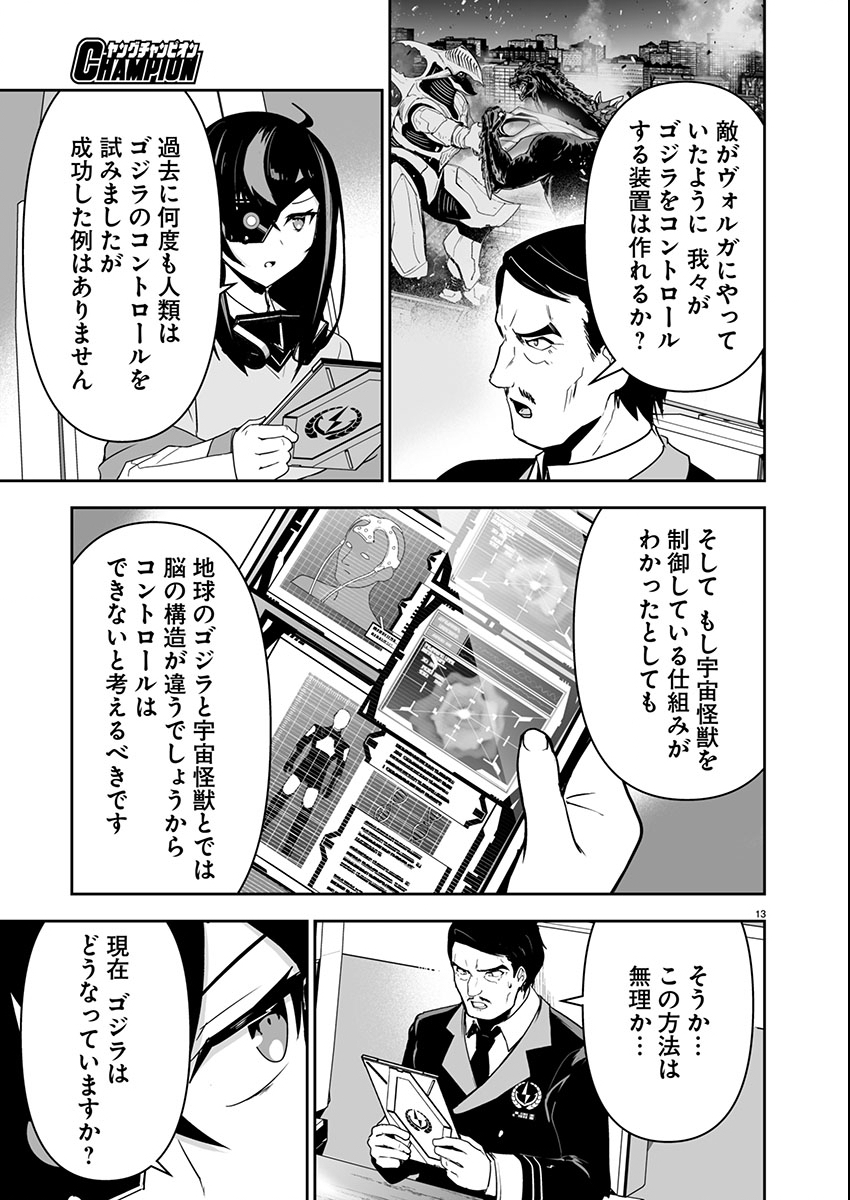 Page 13