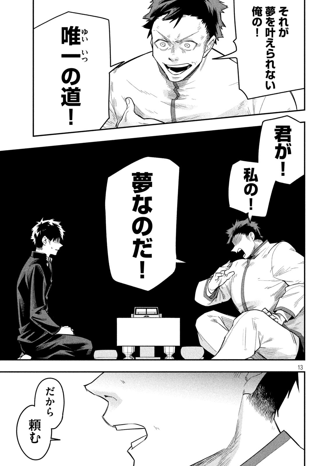 Page 13