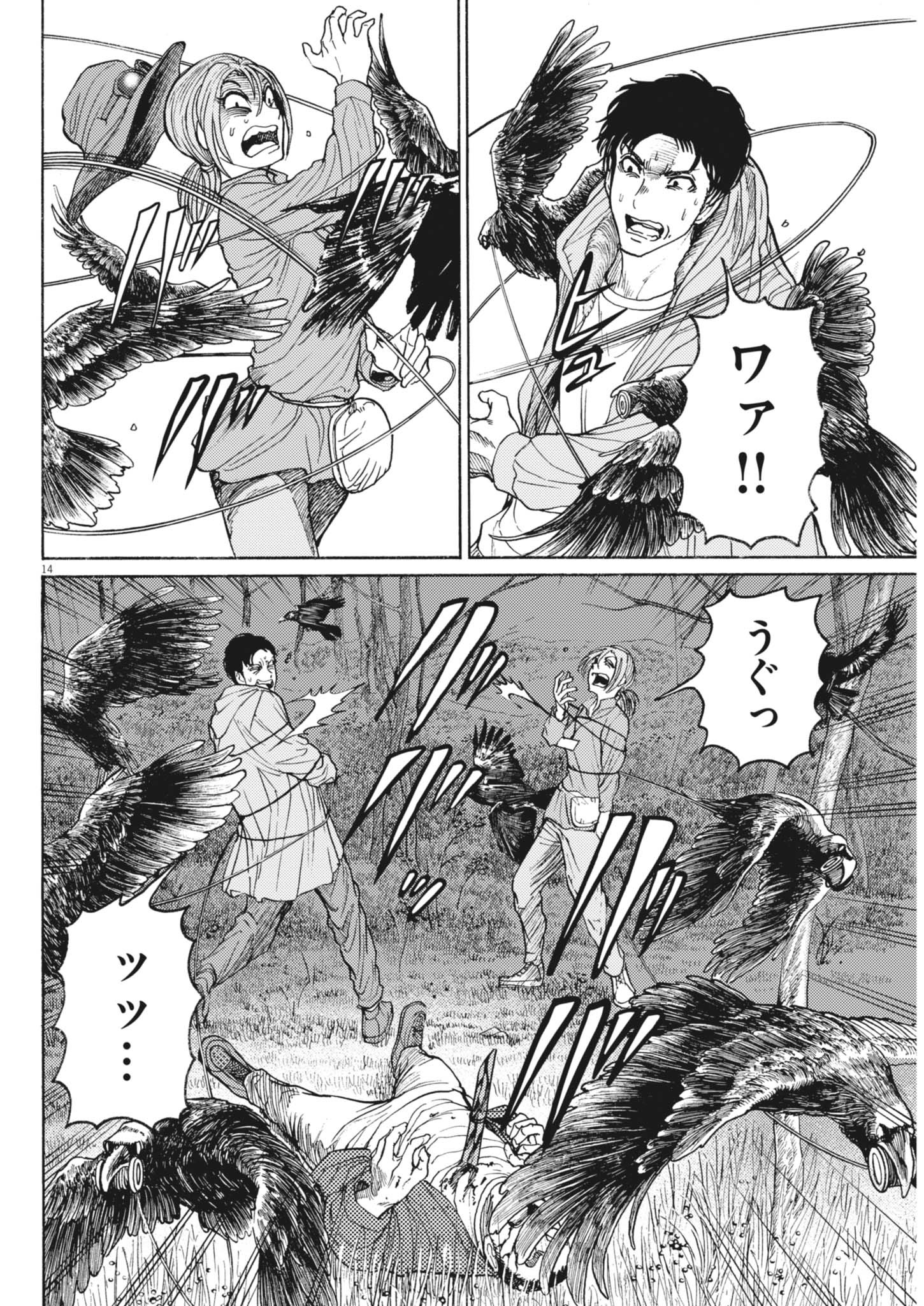 Page 14