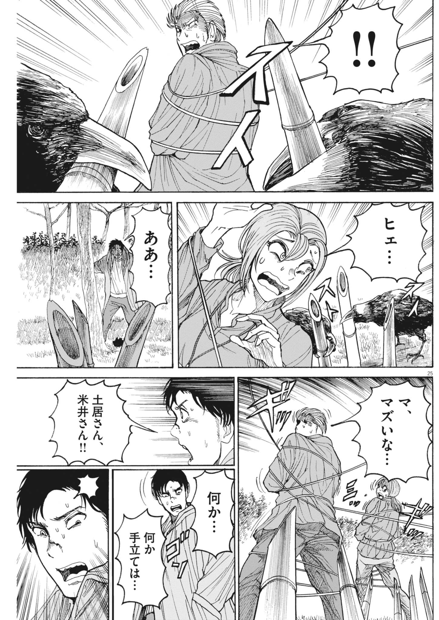 Page 25