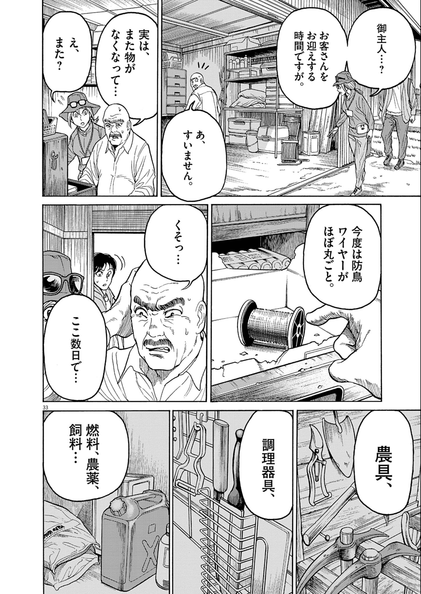 Page 33