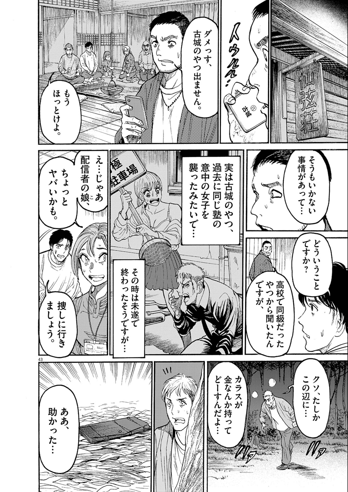 Page 43