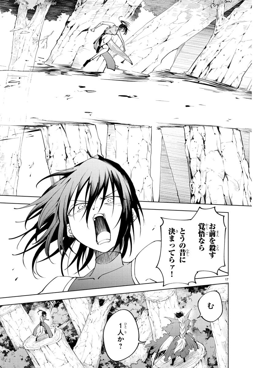 Page 17