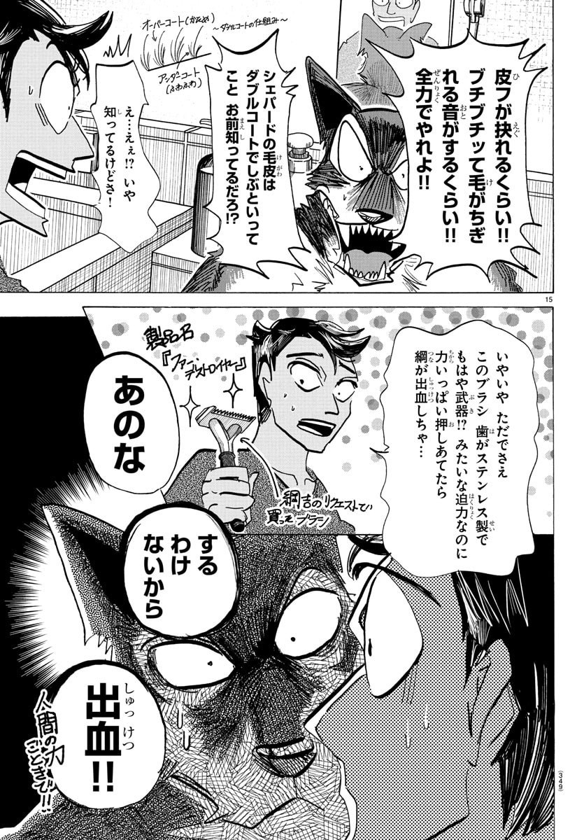 Page 15