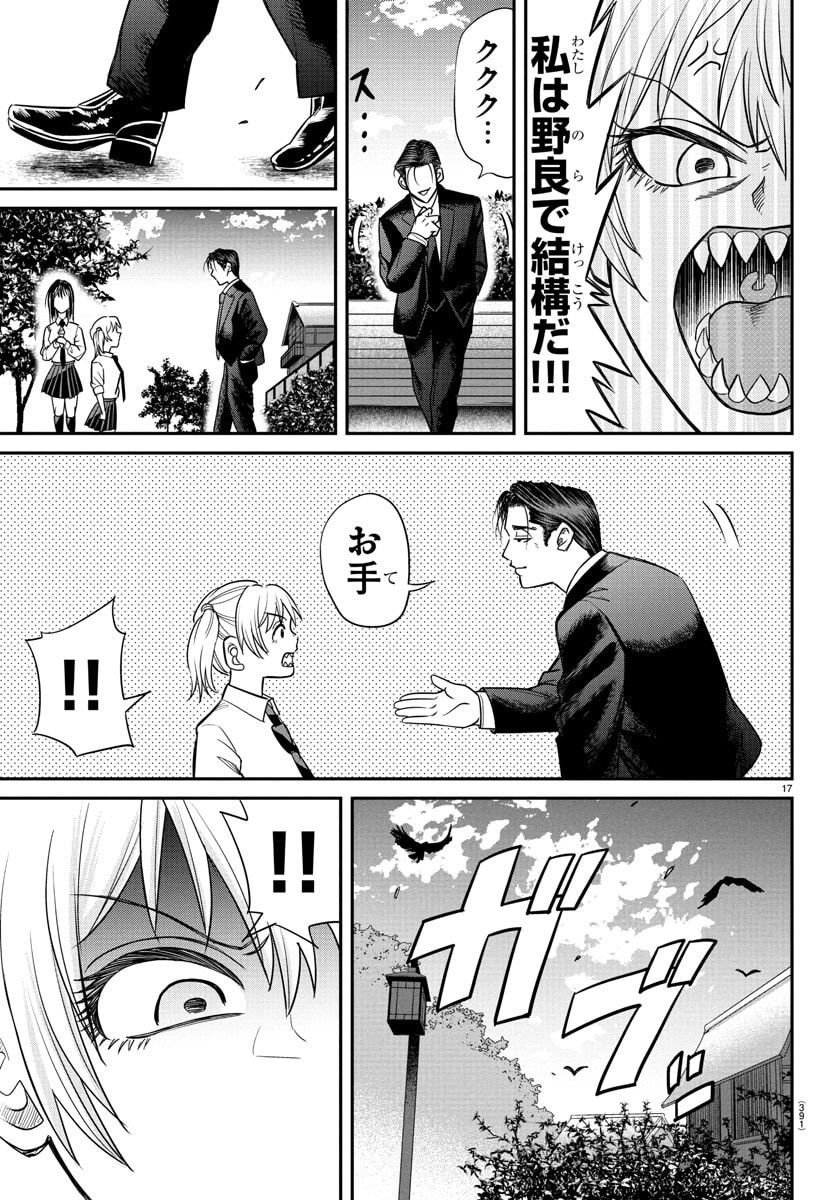 Page 17