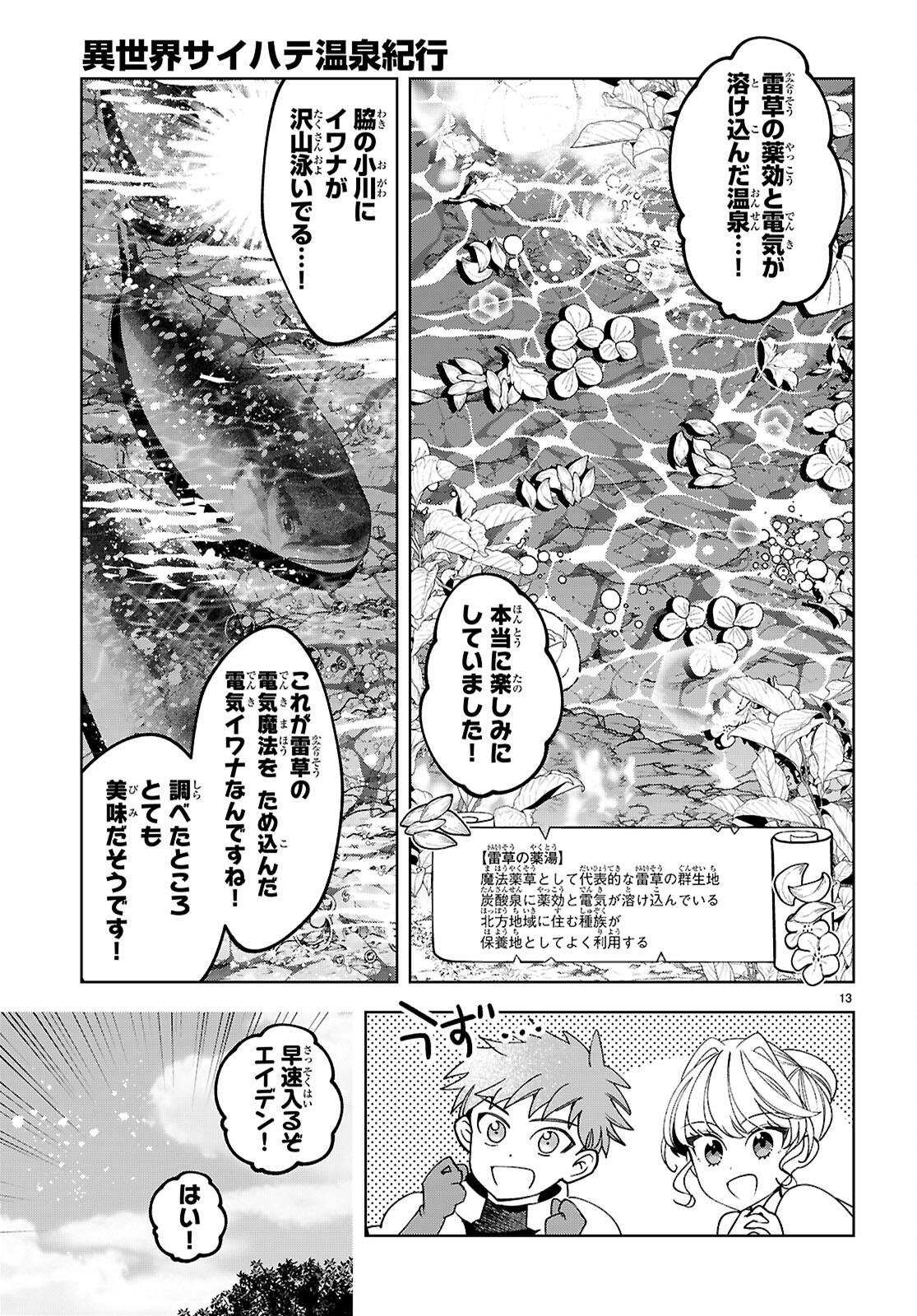 Page 13