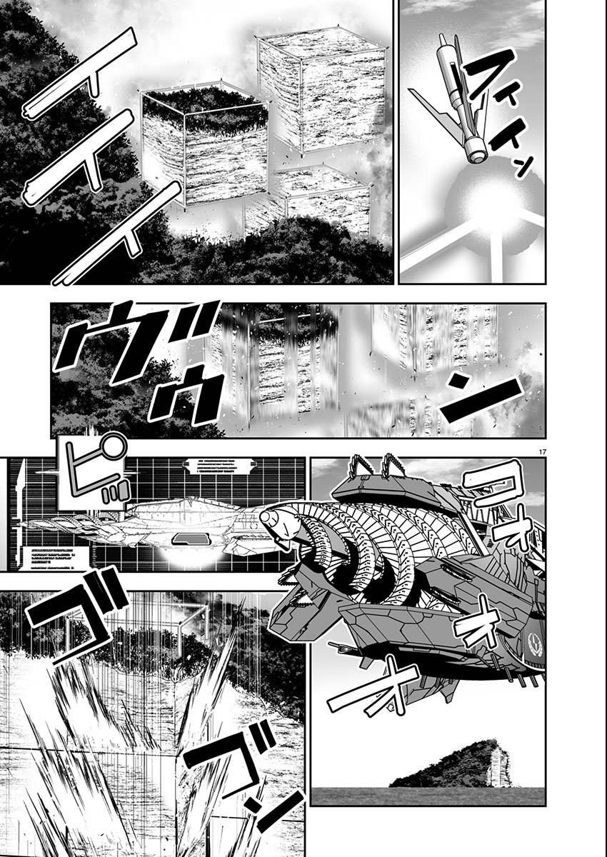 Page 17