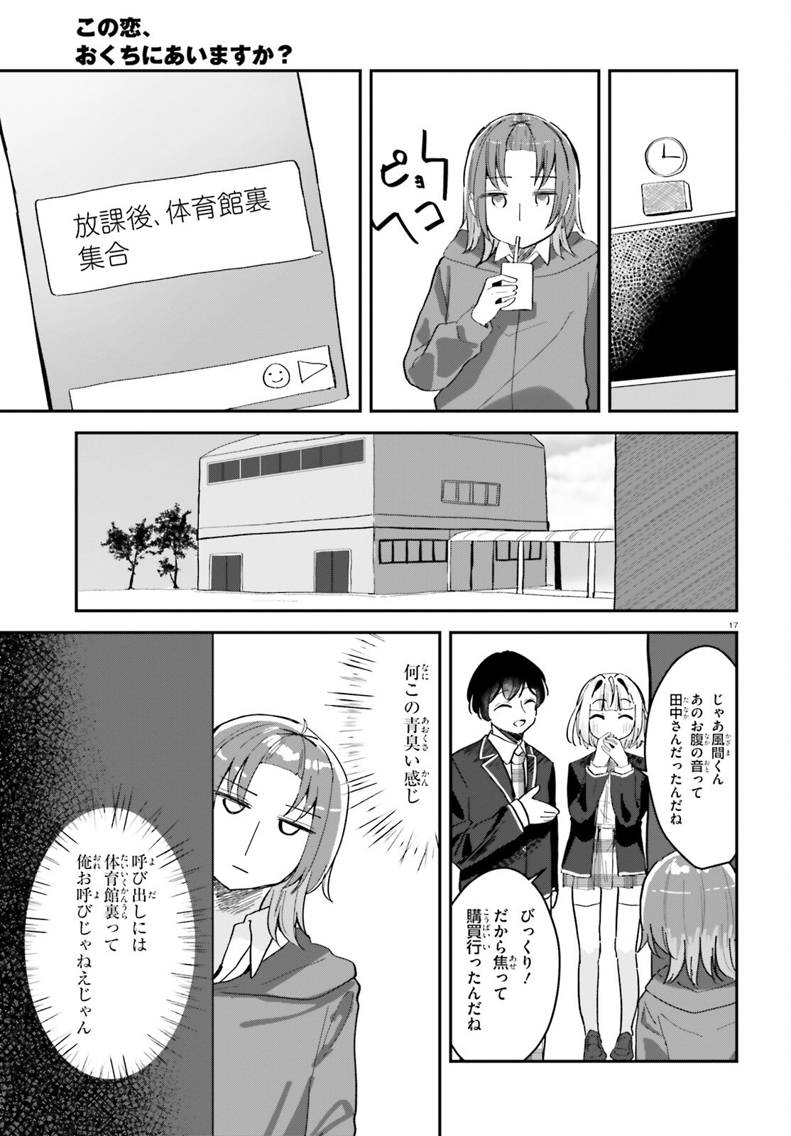 Page 17