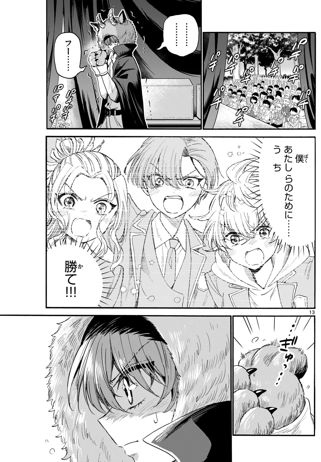 Page 13