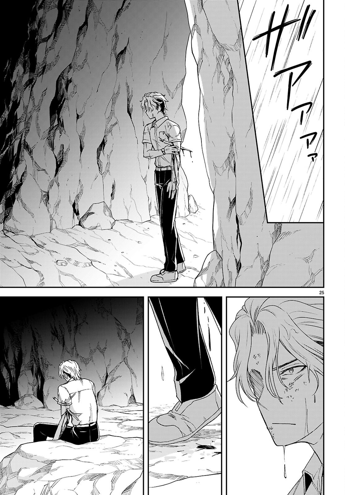 Page 25