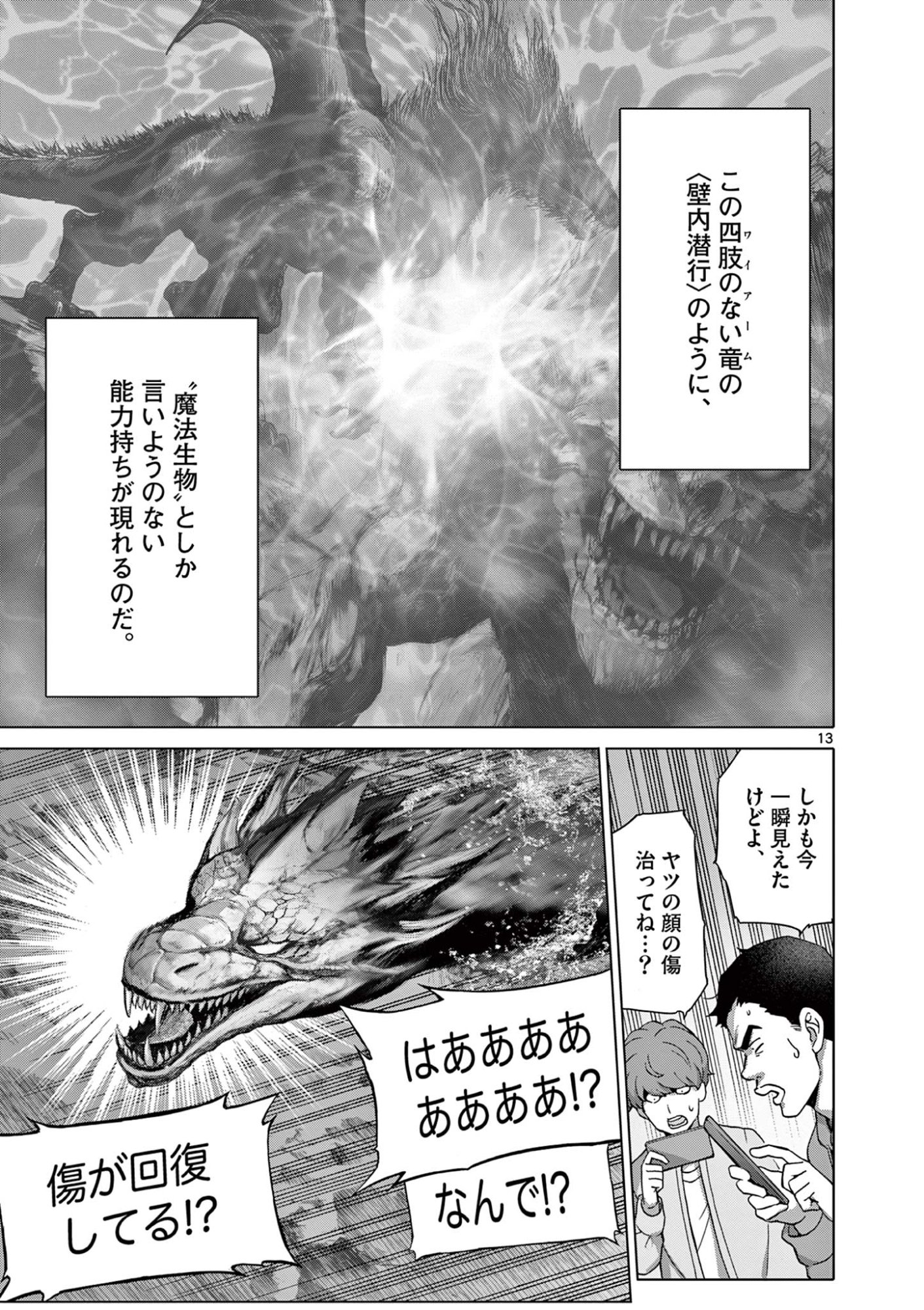 Page 13