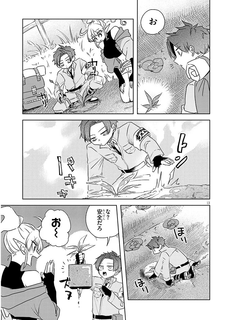 Page 13