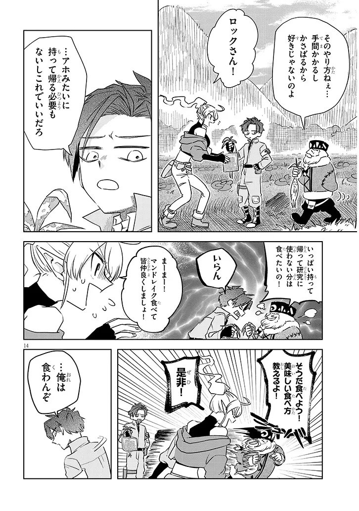 Page 14