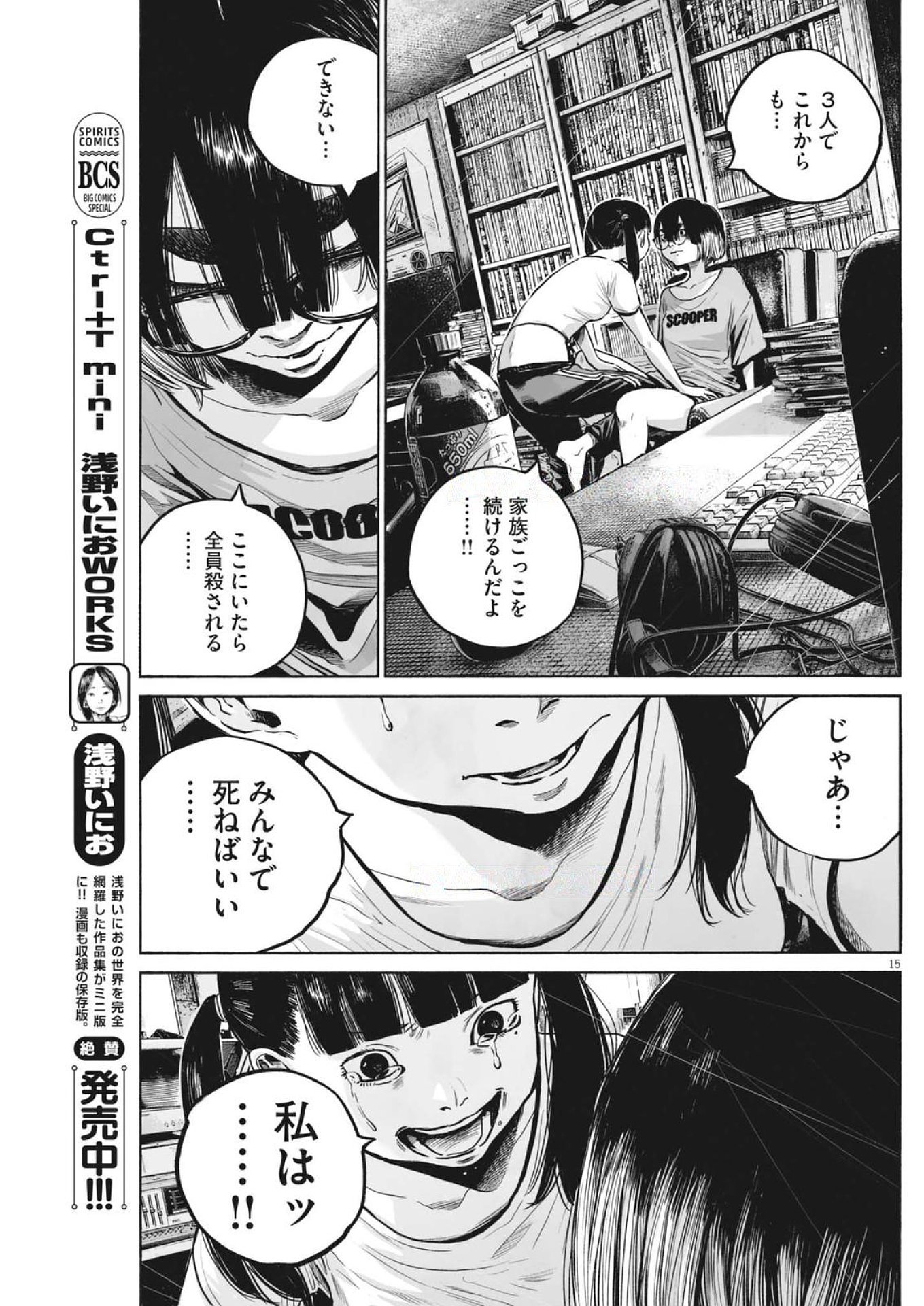 Page 15